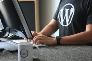 WordPress developer using laptop